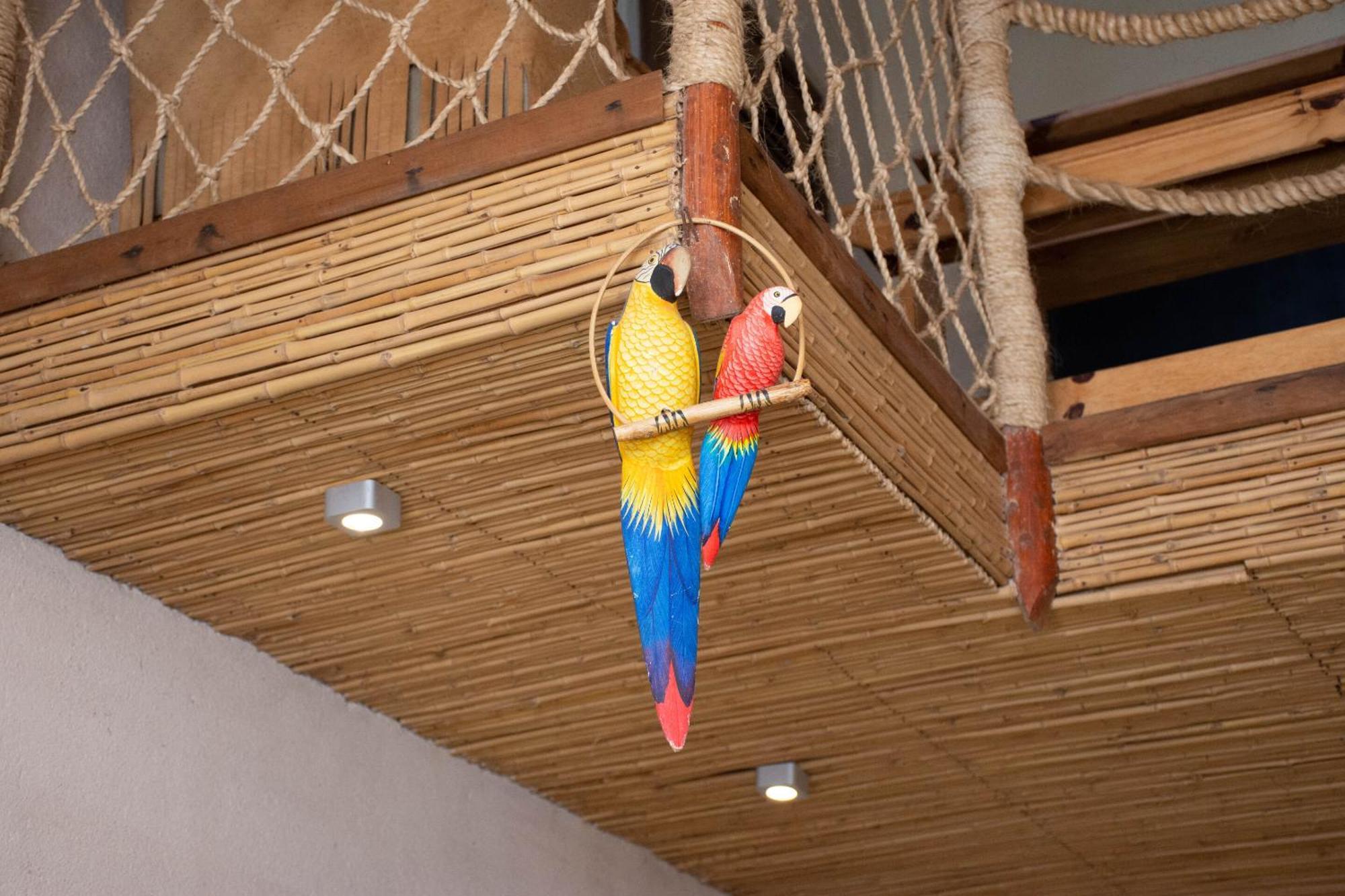 Demeure De La Compagnie Generale Des Huiles Precieuses Bed & Breakfast Ifaty Ruang foto
