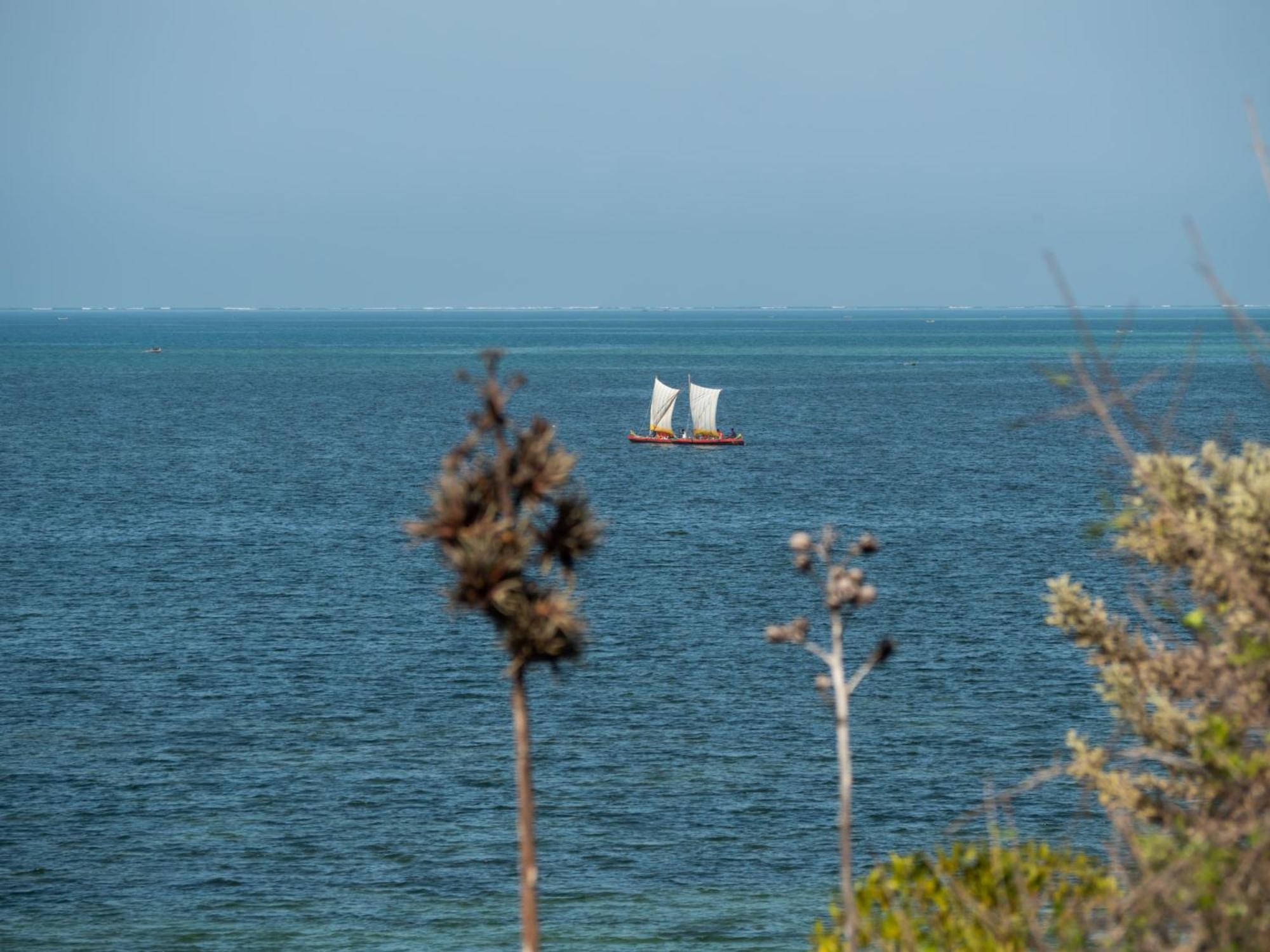 Demeure De La Compagnie Generale Des Huiles Precieuses Bed & Breakfast Ifaty Bagian luar foto